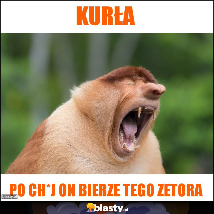 Kurła