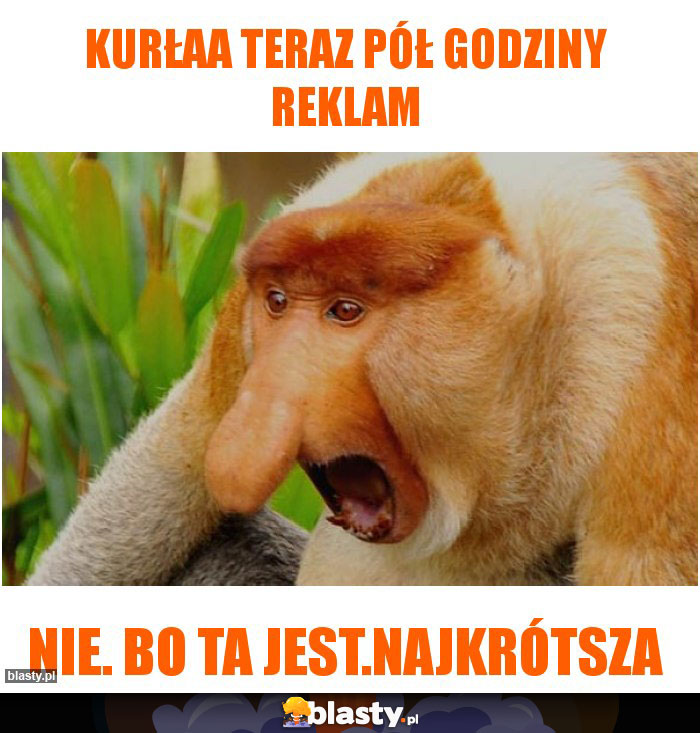 Kurłaa teraz pół godziny reklam