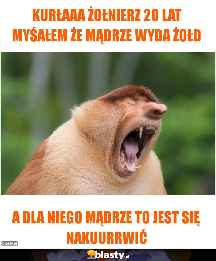 kurłaaa żołnierz 20 lat myśałem że mądrze wyda żołd