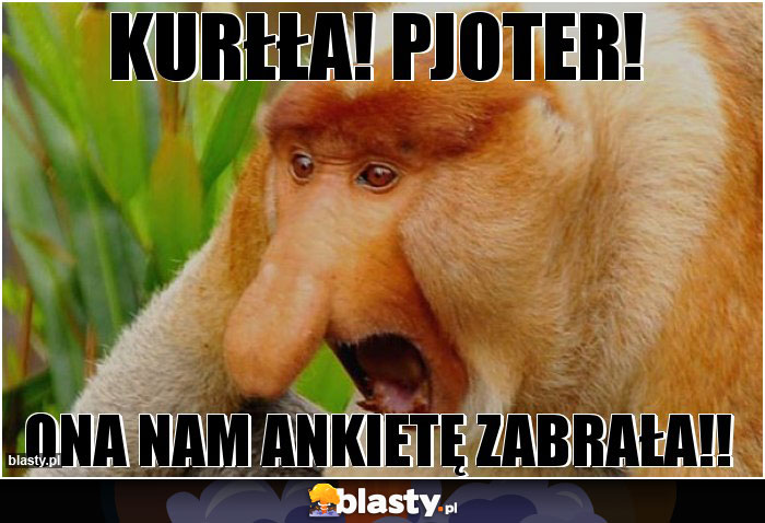 KURŁŁA! PJOTER!