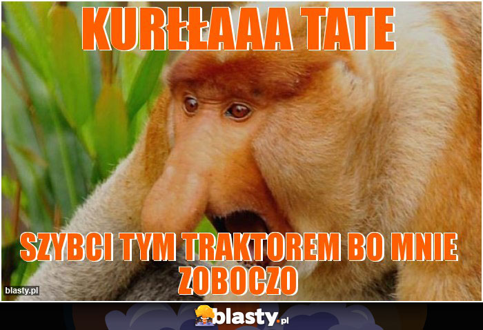 Kurłłaaa tate