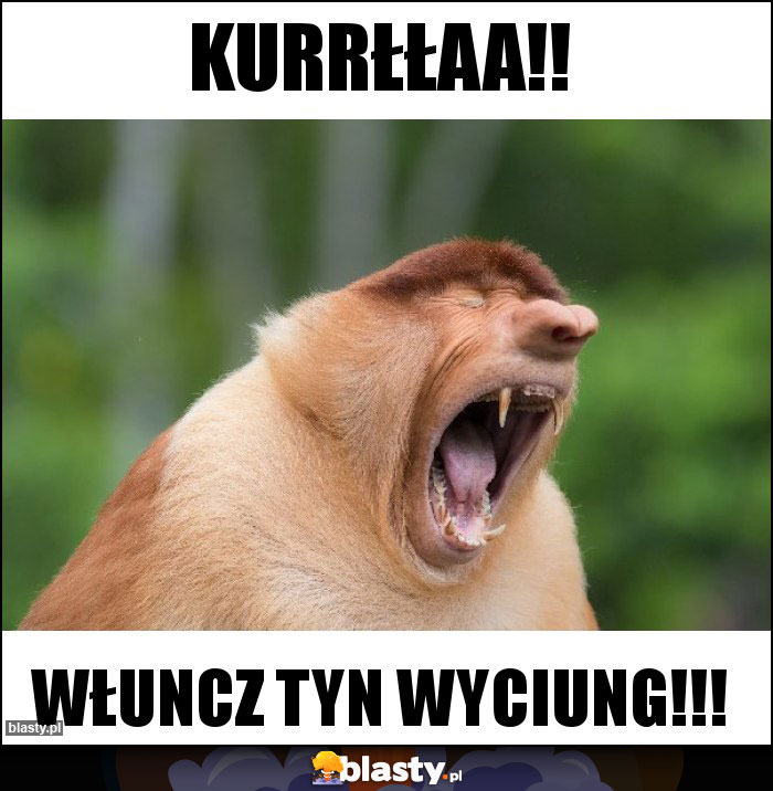 Kurrłłaa!!