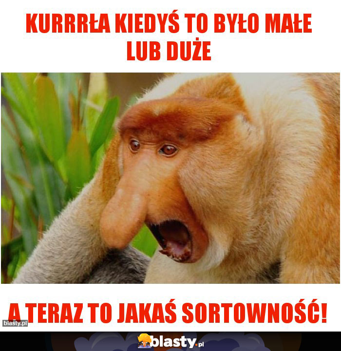 Kurrrła kiedyś to było małe lub duże