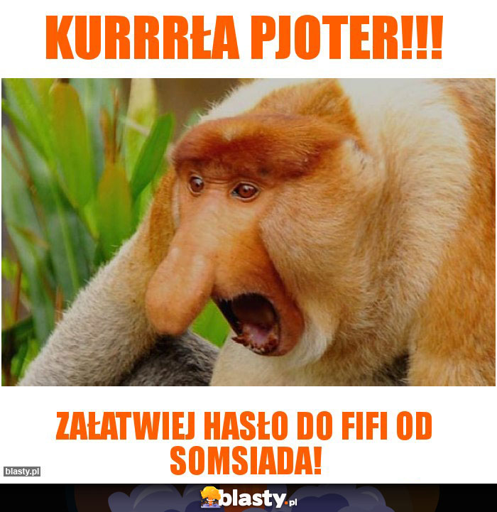 Kurrrła Pjoter!!!