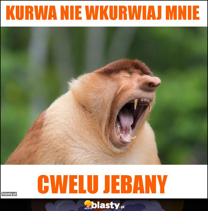 kurwa nie wkurwiaj mnie