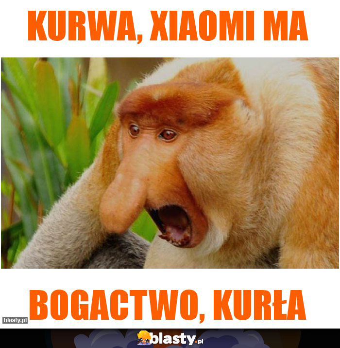 KURWA, XIAOMI MA