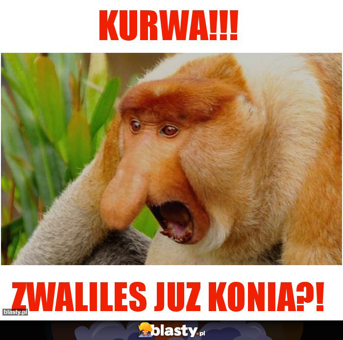 KURWA!!!