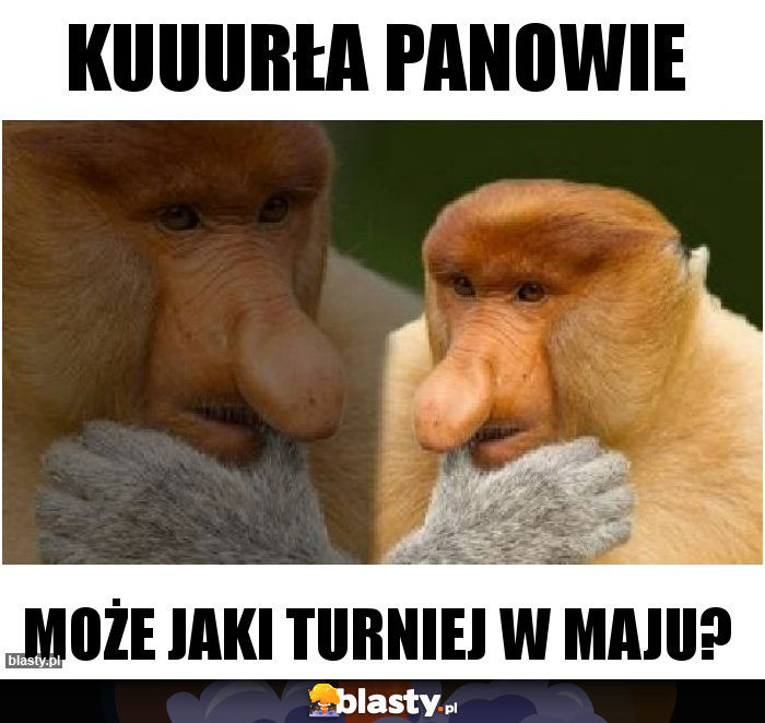 KUUURŁA PANOWIE