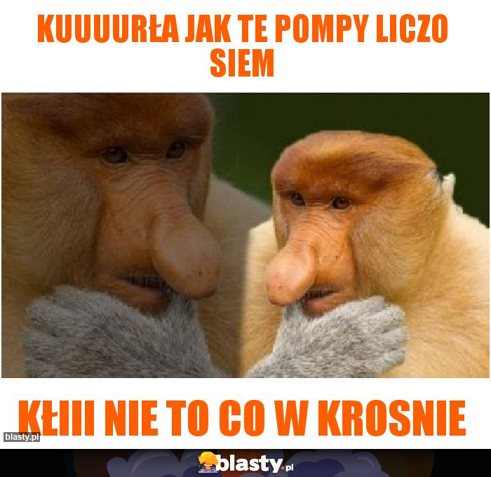 KUUUURŁA JAK TE POMPY LICZO SIEM