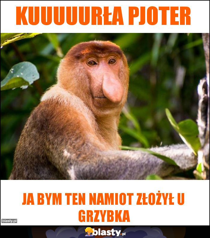 Kuuuuurła Pjoter