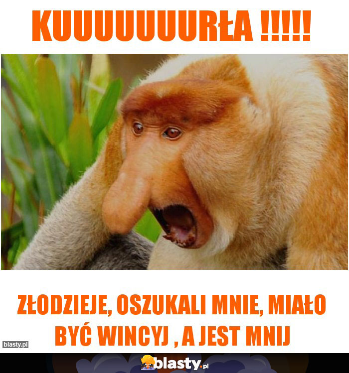 KUUUUUUURŁA !!!!!