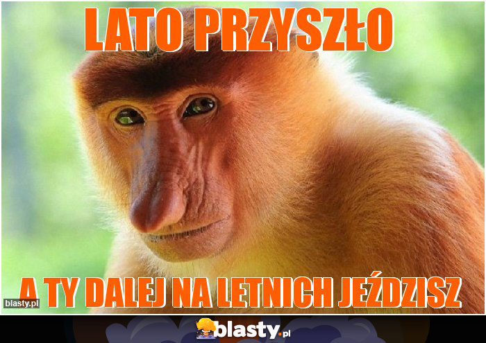 Lato przyszło