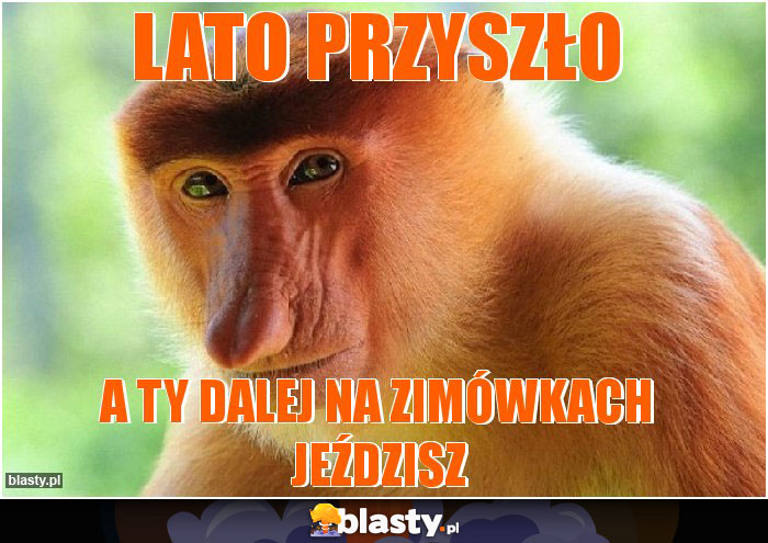 Lato przyszło