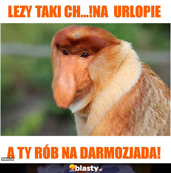 lezy taki ch...!na  urlopie