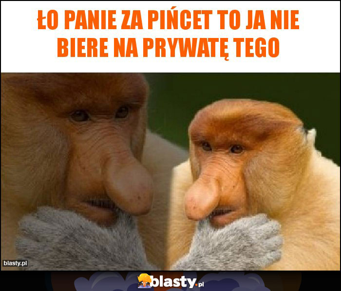 Ło panie za pińcet to ja nie biere na prywatę tego