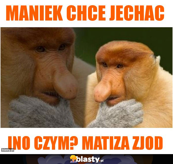 Maniek chce jechac