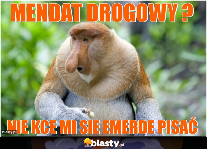 MENdat drogowy ?