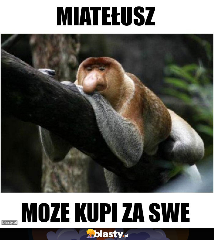 Miatełusz