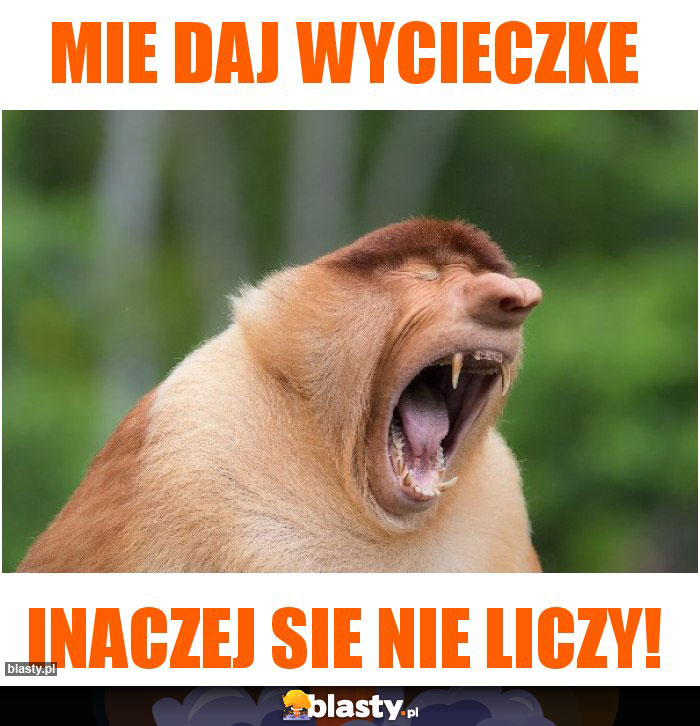 Mie daj wycieczke