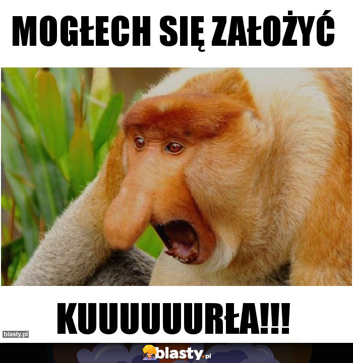 Mogłech się założyć