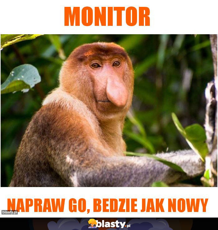 Monitor