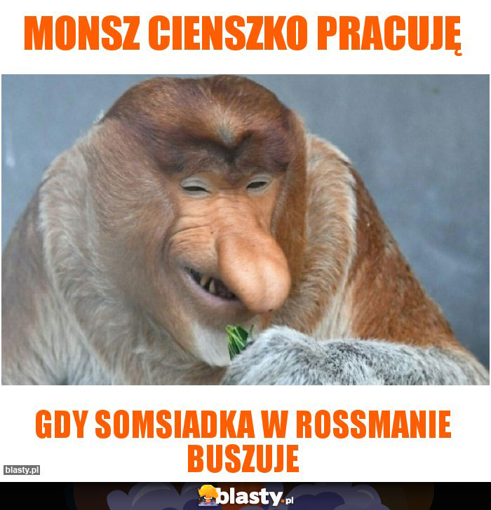 Monsz cienszko pracuję