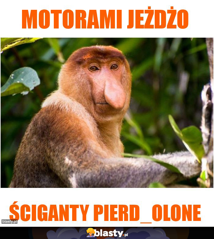 Motorami jeżdżo