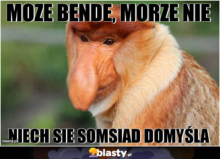 moze bende, morze nie