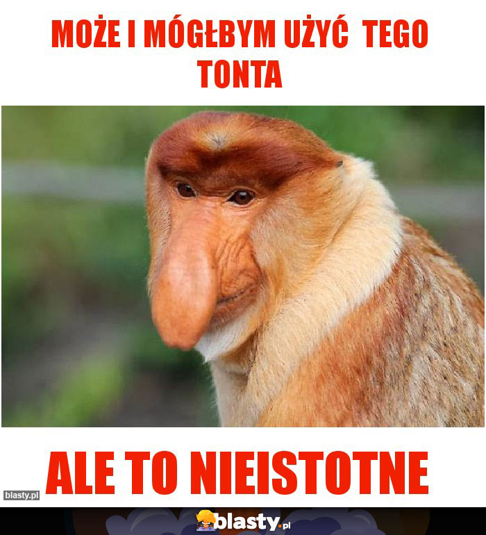 Może i mógłbym użyć  tego tonta