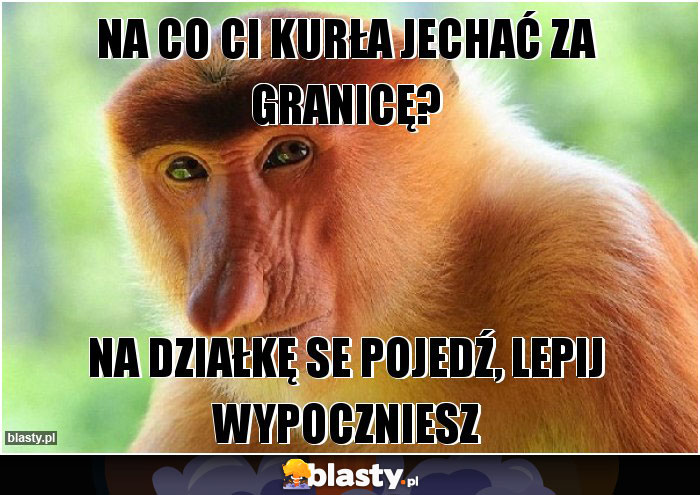 Na co Ci kurła jechać za granicę?