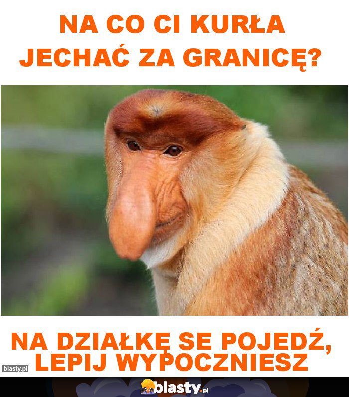 Na co Ci kurła jechać za granicę?