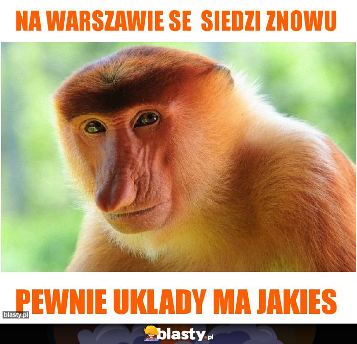 Na warszawie se  siedzi znowu