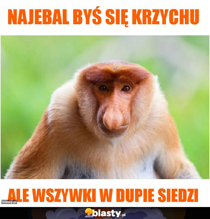 Najebal byś się krzychu