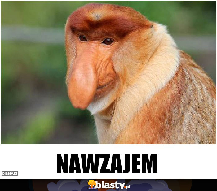 Nawzajem