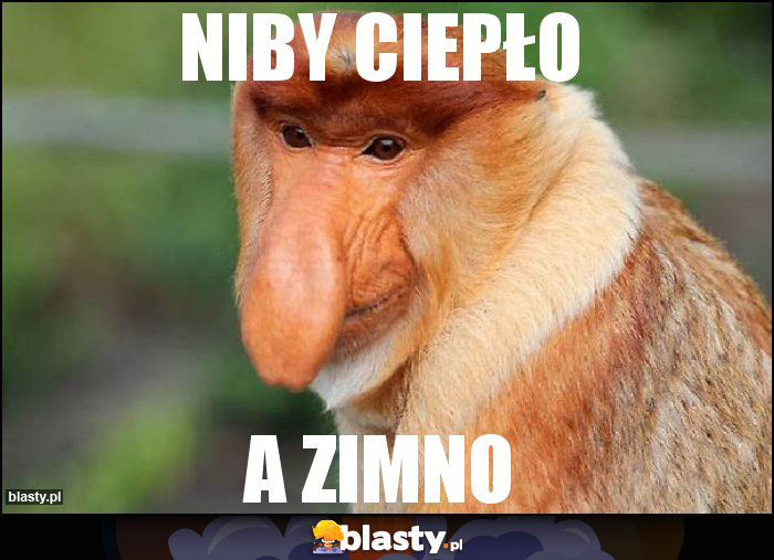 NIBY CIEPŁO