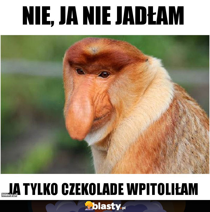 NIE, JA NIE JADŁAM