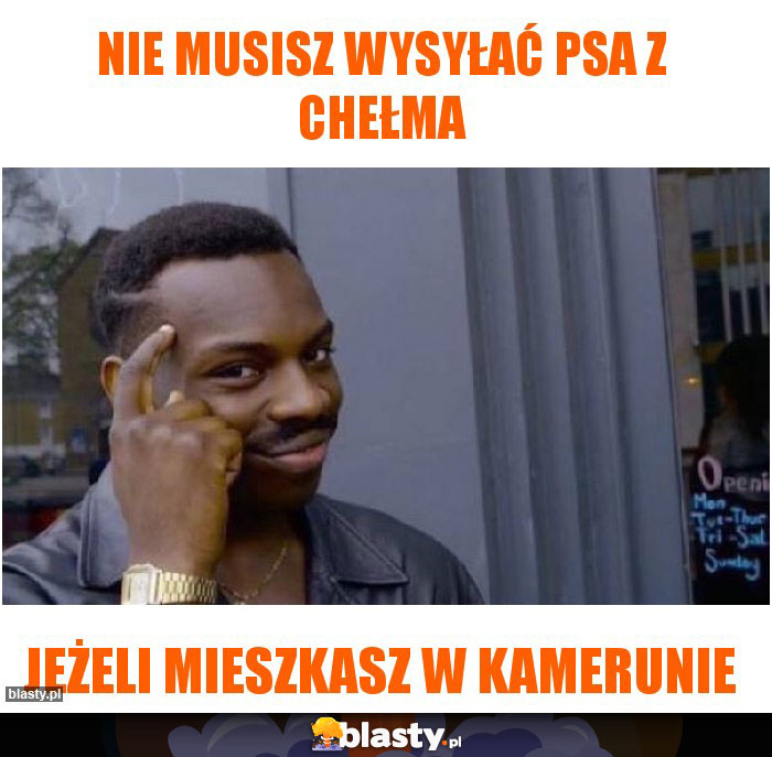 Nie musisz wysyłać psa z chełma