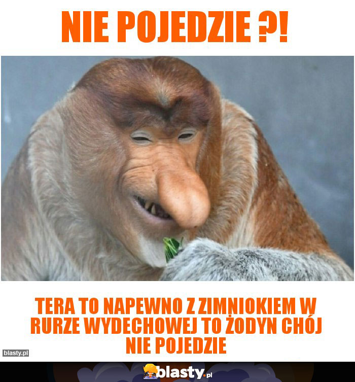 Nie pojedzie ?!