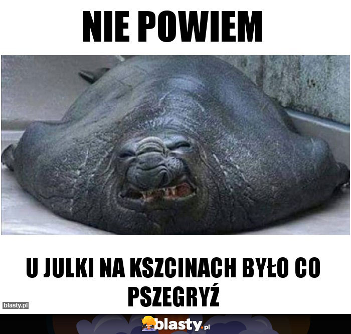 Nie powiem