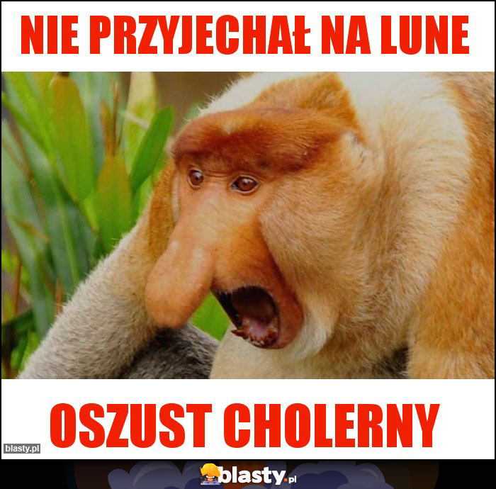 Nie przyjechał na lune