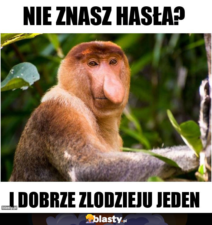 NIE ZNASZ HASŁA?