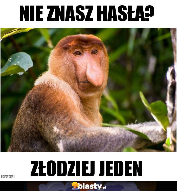 Nie znasz hasła?