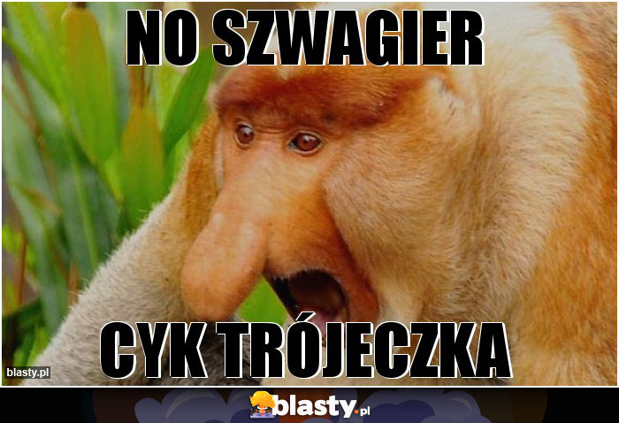 no szwagier