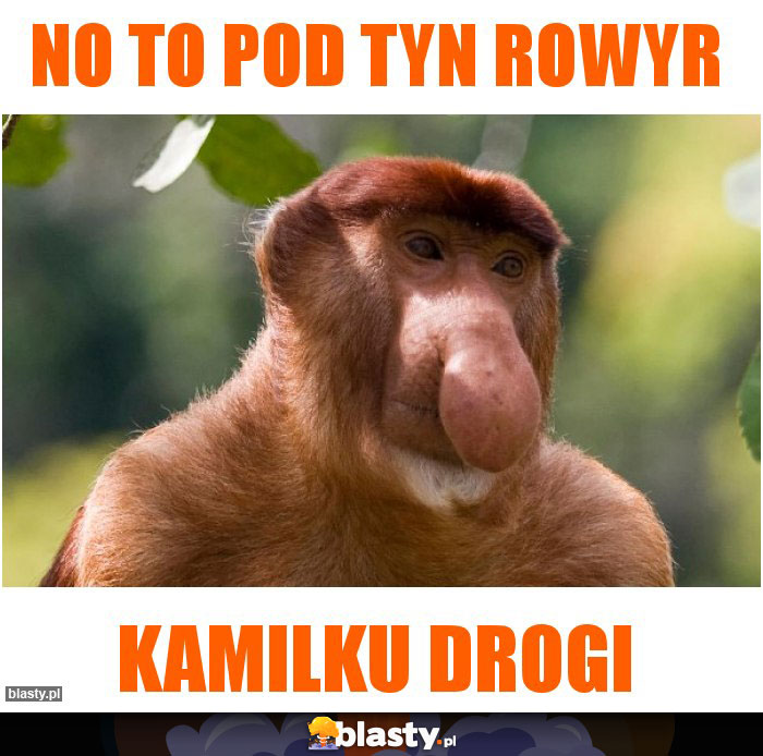 No to pod tyn rowyr