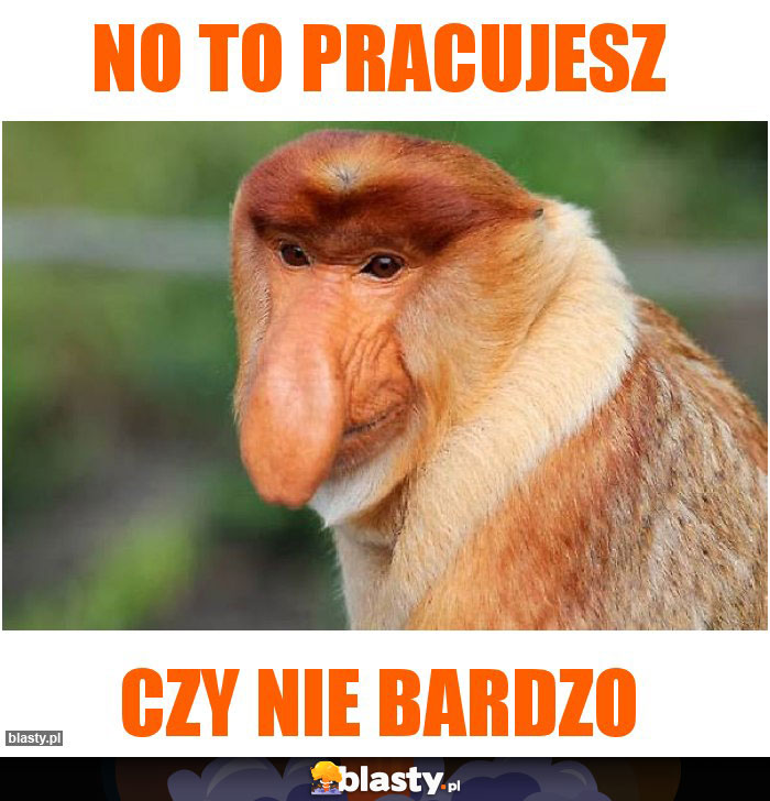 NO TO PRACUJESZ