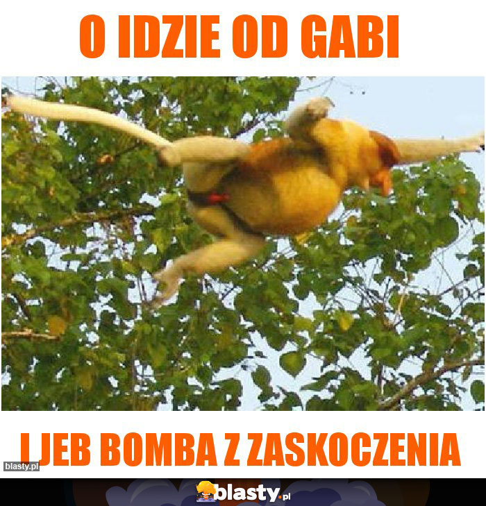 o idzie od Gabi