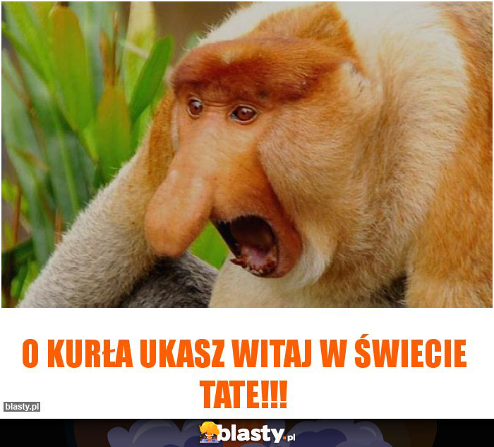 O KURŁA UKASZ WITAJ W ŚWIECIE TATE!!!