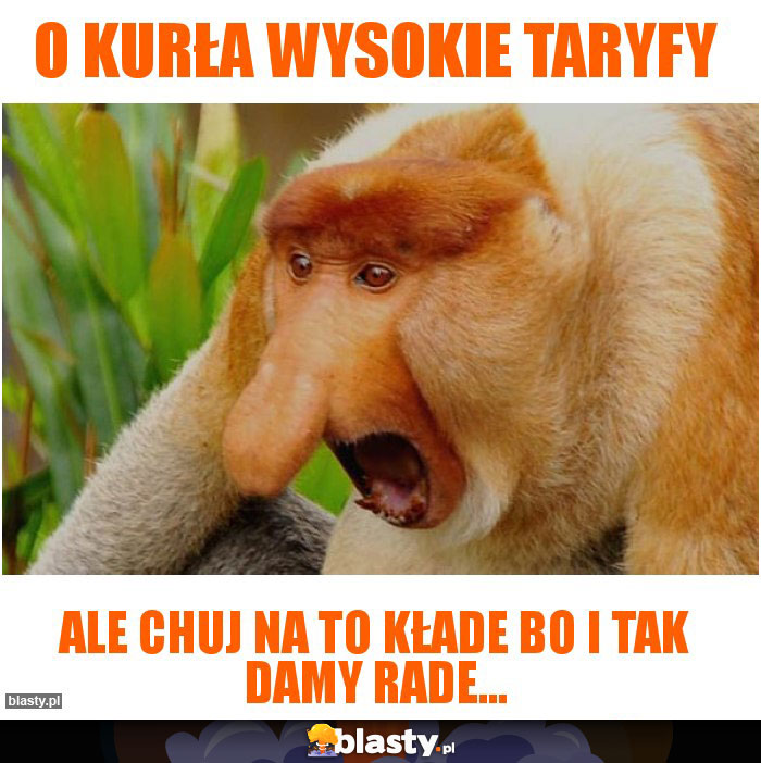 O kurła wysokie taryfy