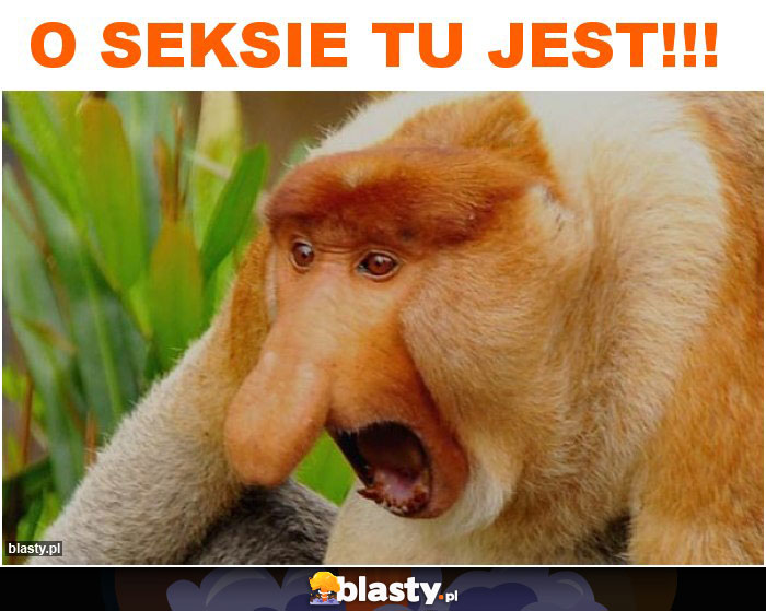 O seksie tu jest!!!