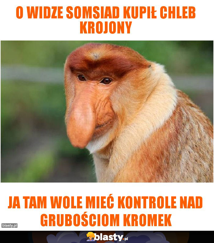 O widze somsiad kupił chleb krojony